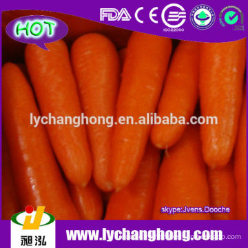 Китай Шаньдун свежие морковь